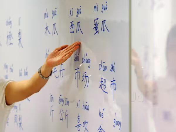 Why Learn Chinese?